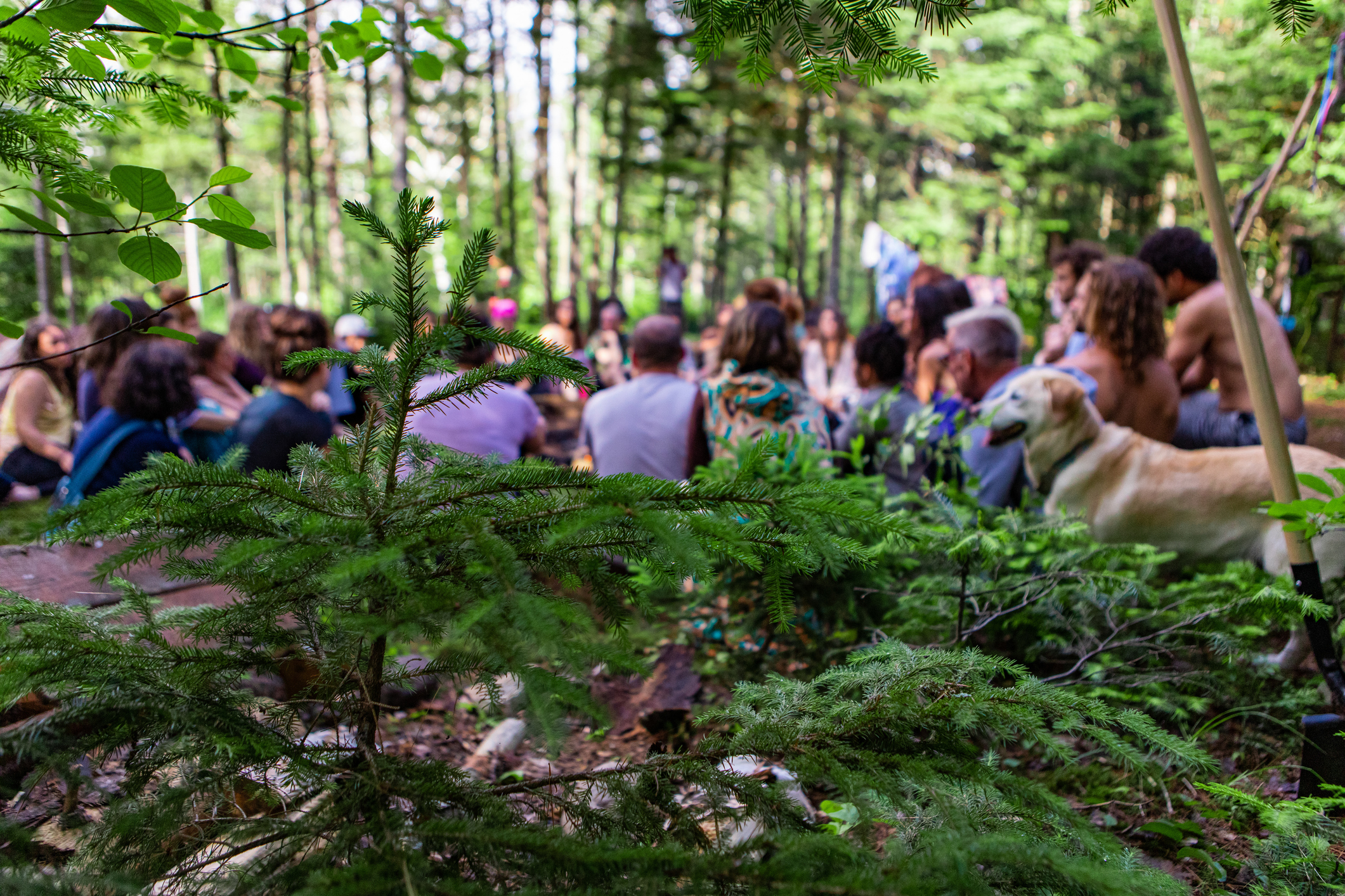 A large group of people from all backgrounds are seen sitting together in a circle at a forest campsite, with a golden retriever dog during a mindful retreat.